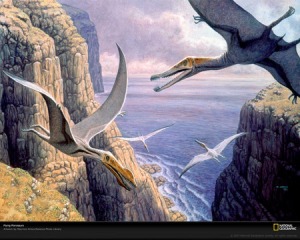 Pteranodon flygande dinosaurier som dog ut för ca 64 miljoner år sedan till följd av det stora meteoritnedsalget på Yucatan-halvön i Mexico. 